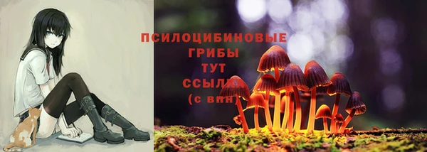 герыч Алзамай