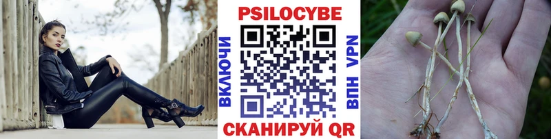 кракен рабочий сайт  Бабушкин  Псилоцибиновые грибы прущие грибы 