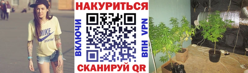 Каннабис VHQ  Бабушкин 